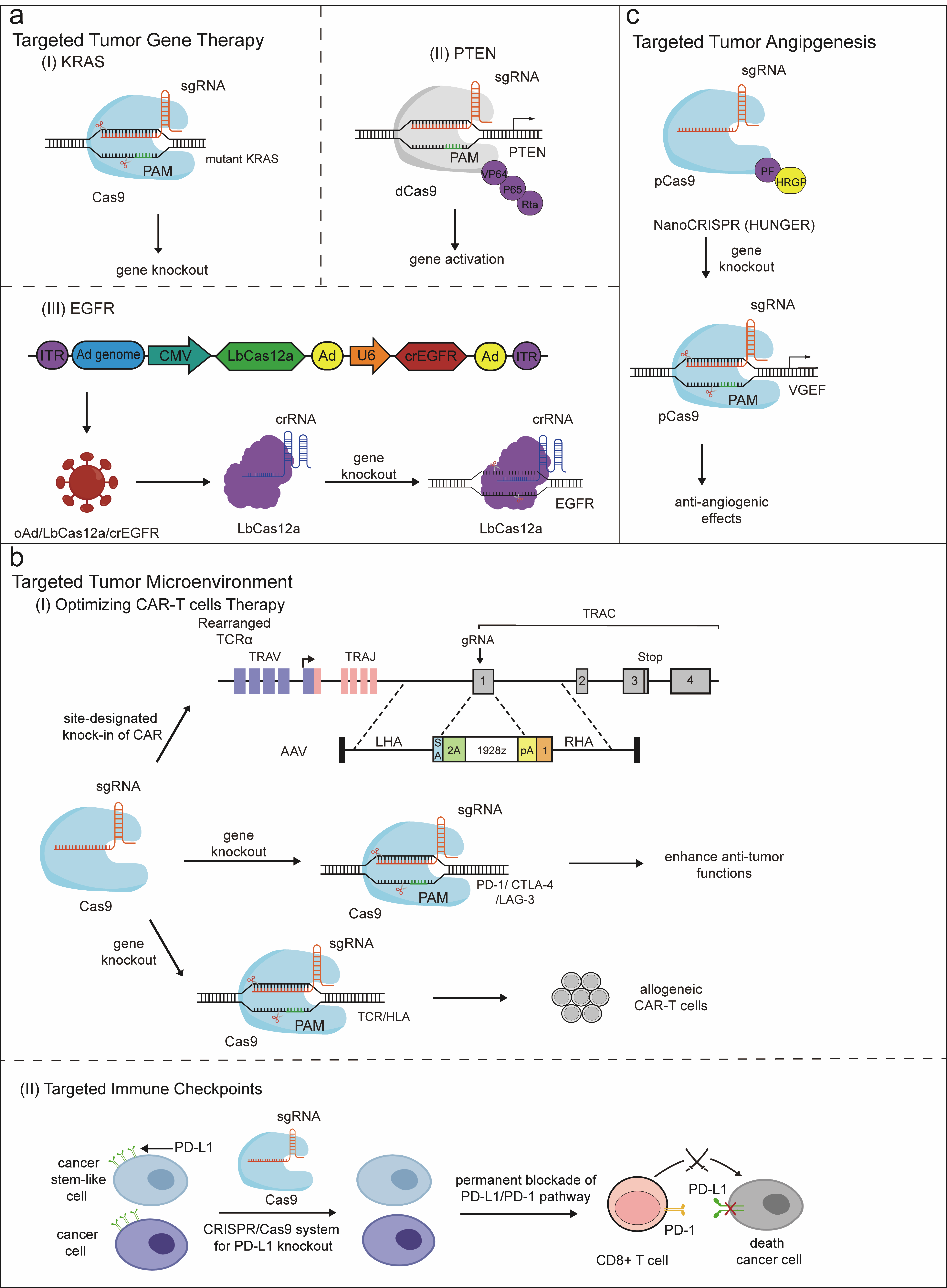 Multi-panel diagram of CRISPR-based precision therapeutic strategies targeting tumors and the tumor microenvironment