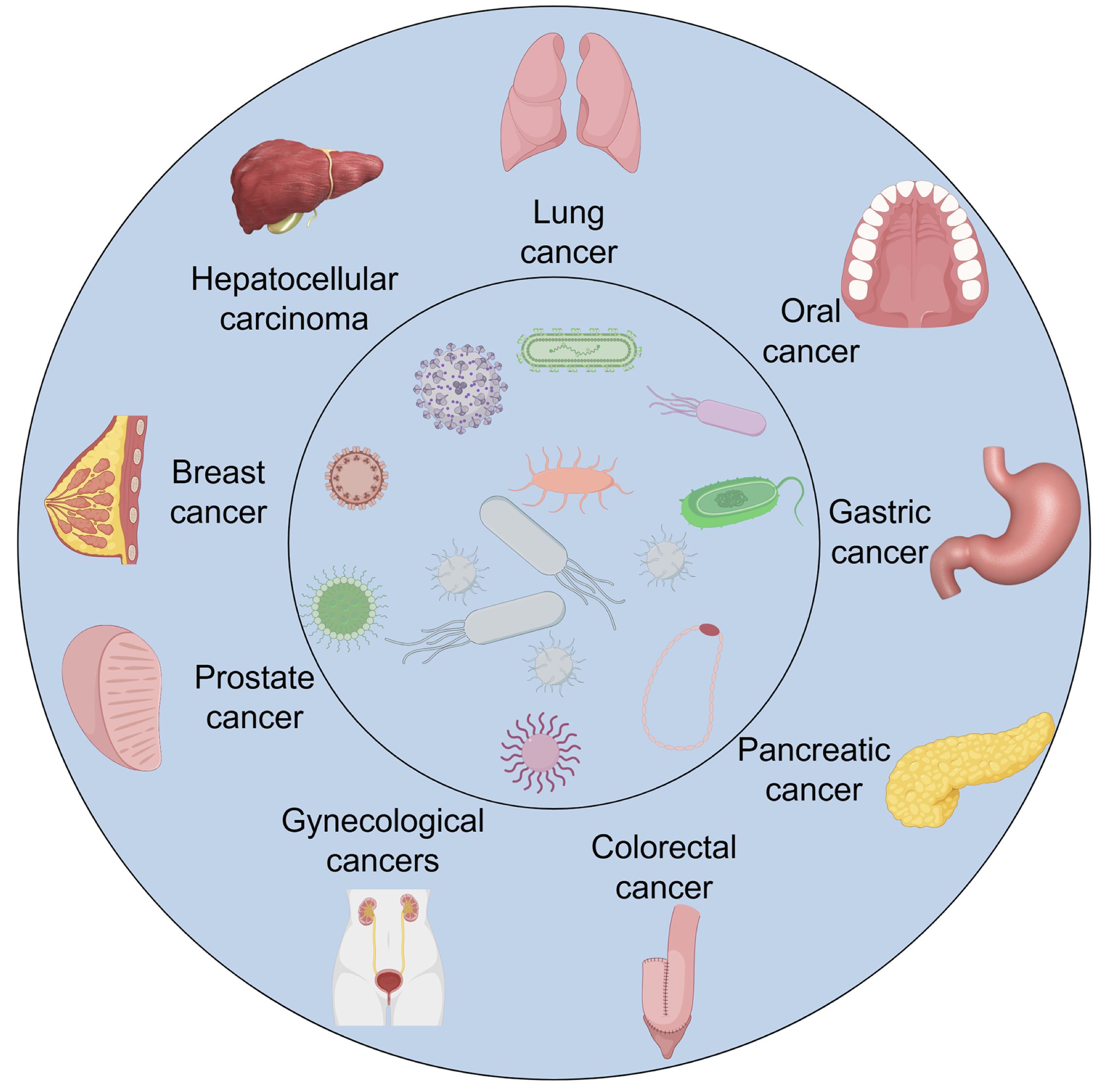 Diagram of the human microbiome across anatomical sites and its interactions with the host