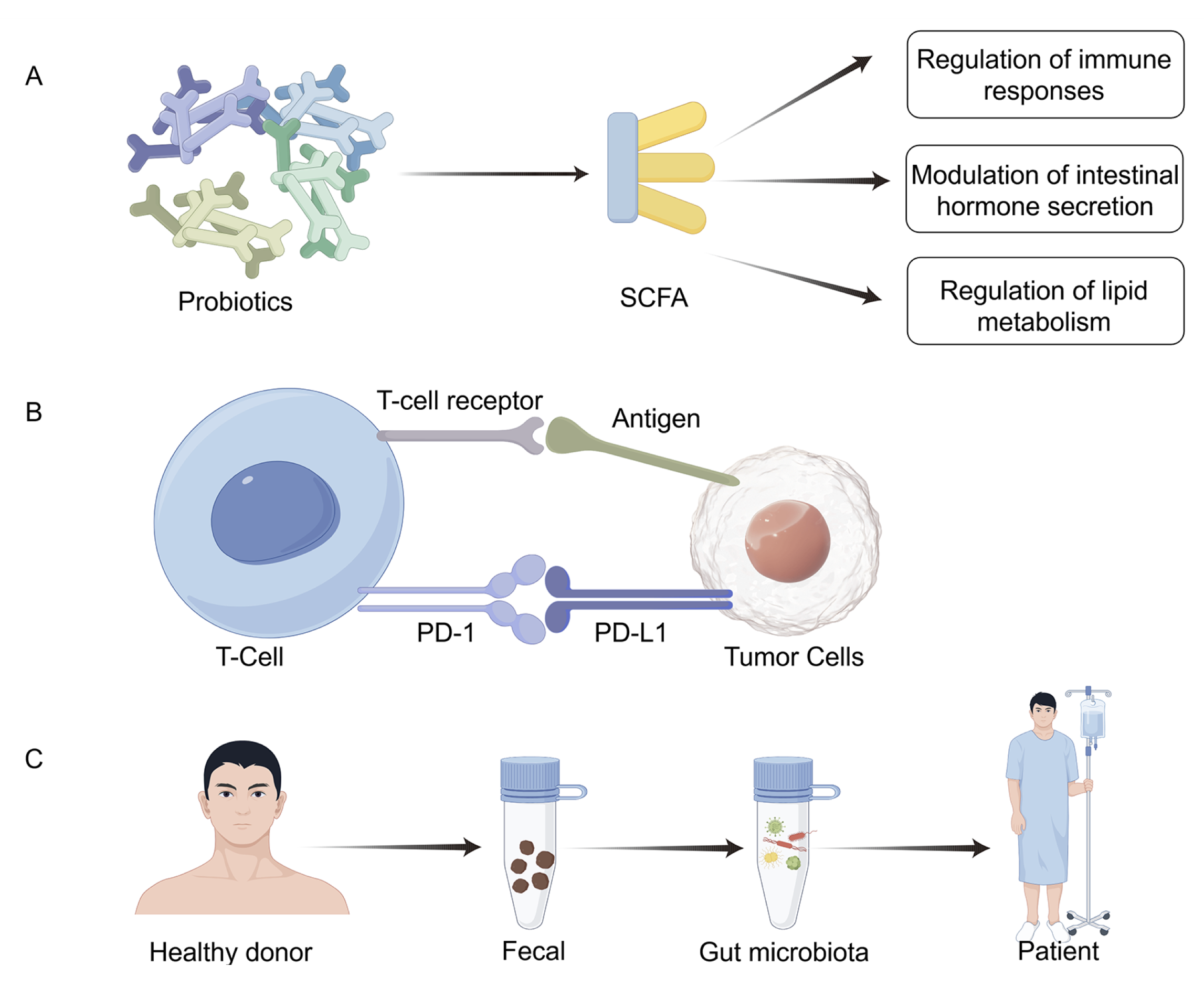 Multi-panel diagram of microbiome modulation strategies for cancer prevention and therapy