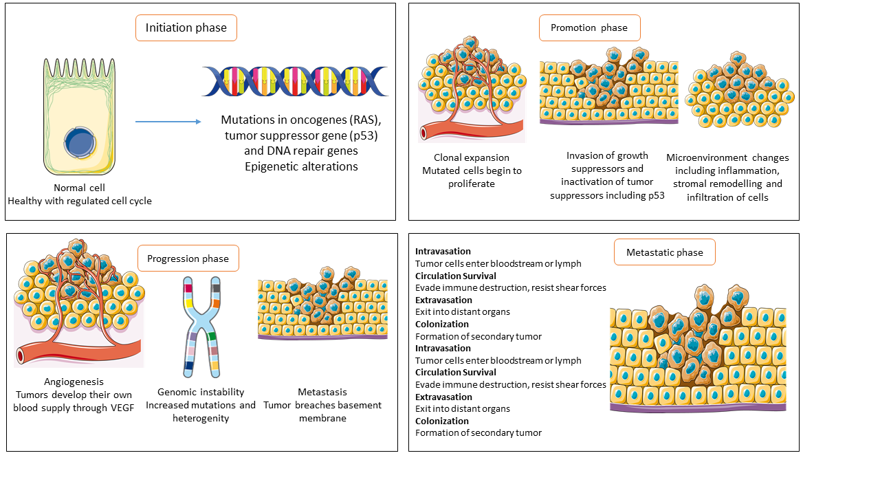 Diagram of ferroptosis resistance mechanisms and synthetic lethality strategies in cancer